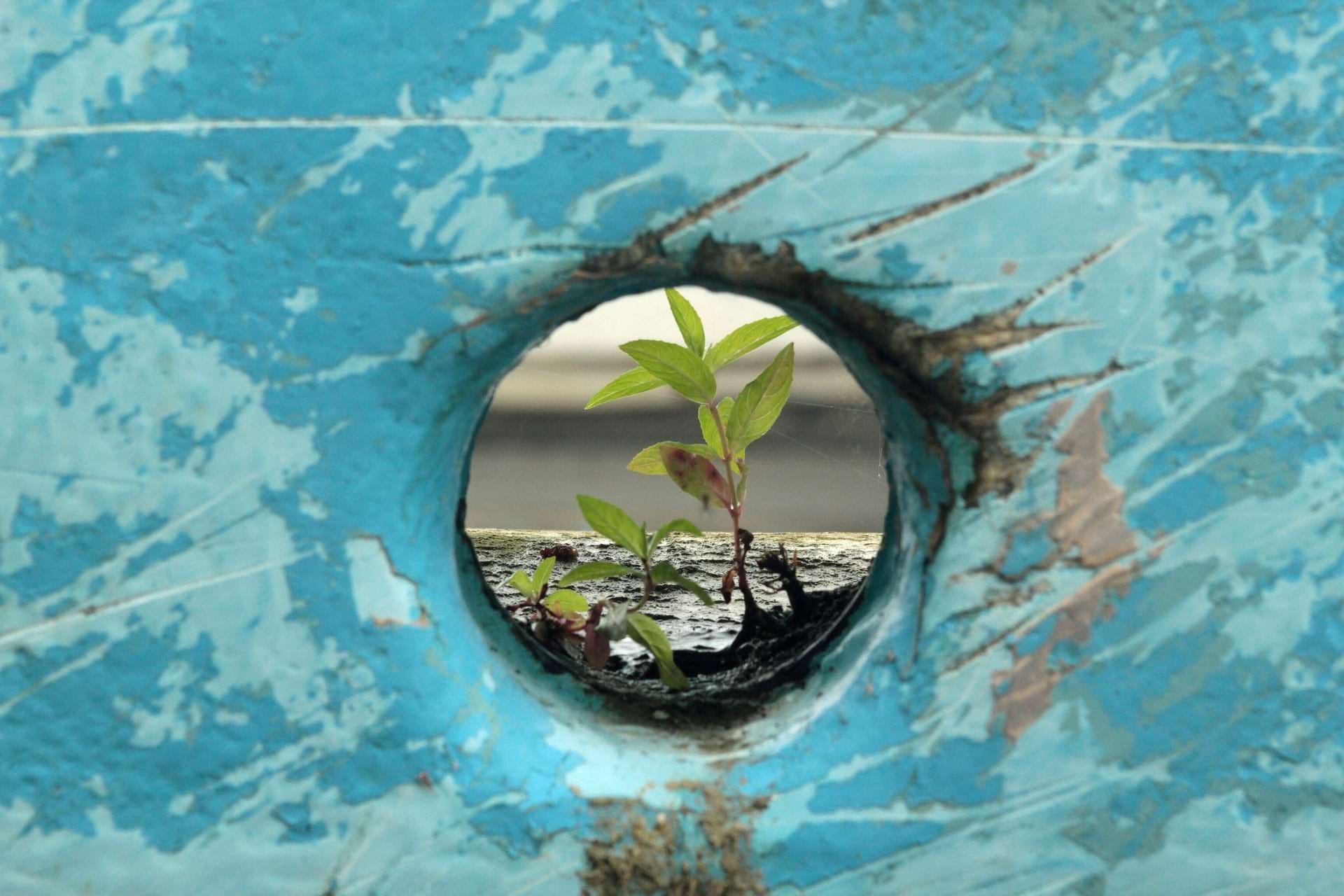 résilience économique